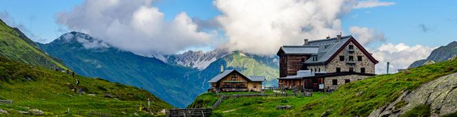 Bettwanzen auf Berghütten in den Alpen
