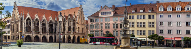 Bettwanzen in Braunschweig bekämpfen