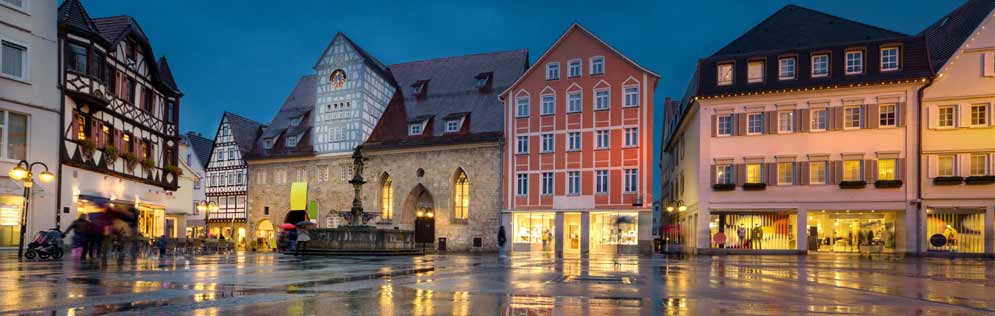 Bettwanzenbekämpfung Reutlingen