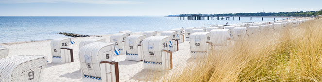 Bettwanzen in Mecklenburg-Vorpommern bekämpfen