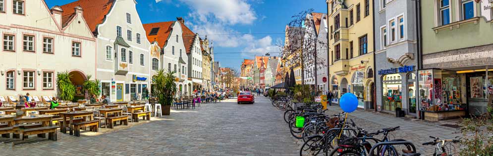 Bettwanzenbekämpfung Ingolstadt