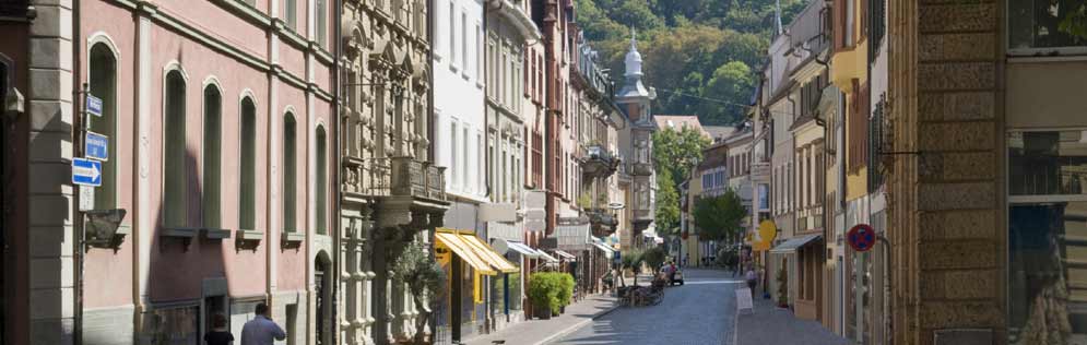 Bettwanzenbekämpfung Freiburg