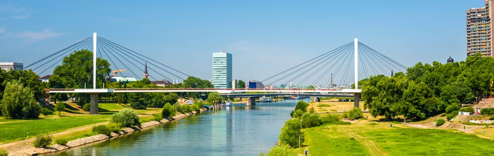 Bettwanzenbekämpfung Mannheim