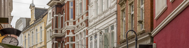 Bettwanzen in Oldenburg bekämpfen