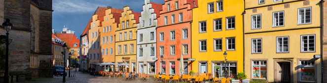 Bettwanzen in Osnabrück bekämpfen