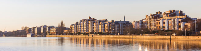 Bettwanzen in Wilhelmshaven bekämpfen